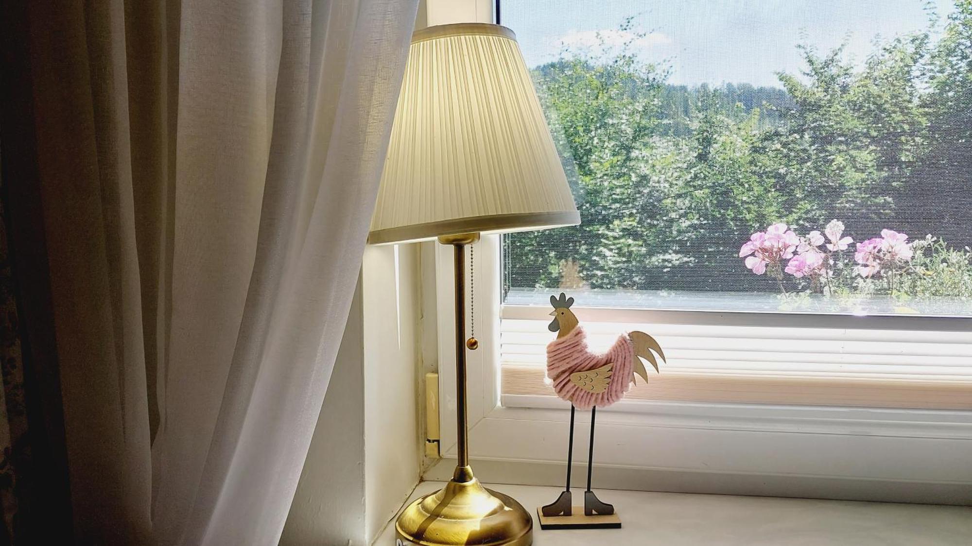 Agroturystyka Jelenia Wisła Kamer foto